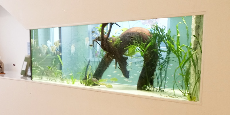 abdeckung aquarium