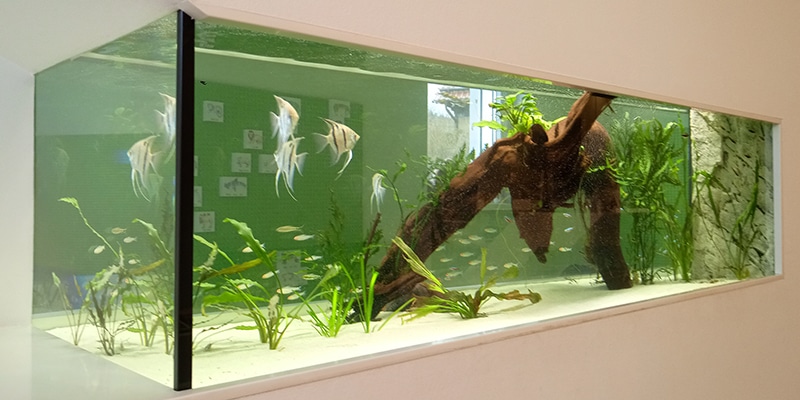 aquarium abdeckung