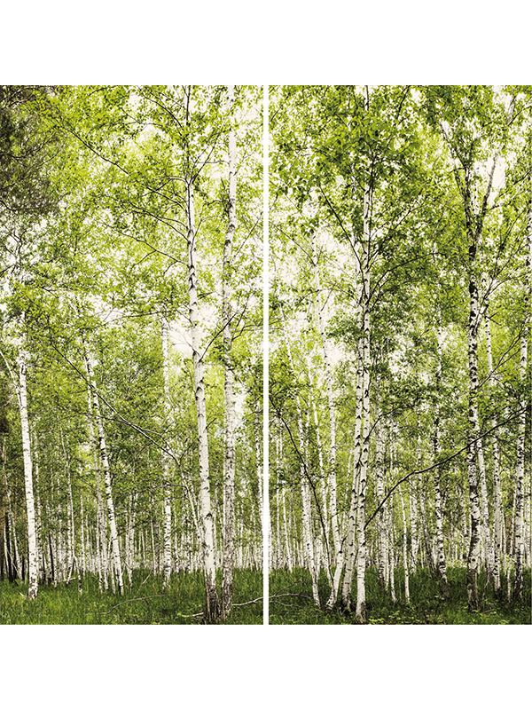 Duschrückwand Set Birkenwald